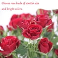 thumbnail image 6 of EIMELI Creative Real Sweet Rose Stud Earrings By Epoxy Process Elegant Pearl Crystal Eardrop With Vintage Eternal Flower In Jewellery, 6 of 6
