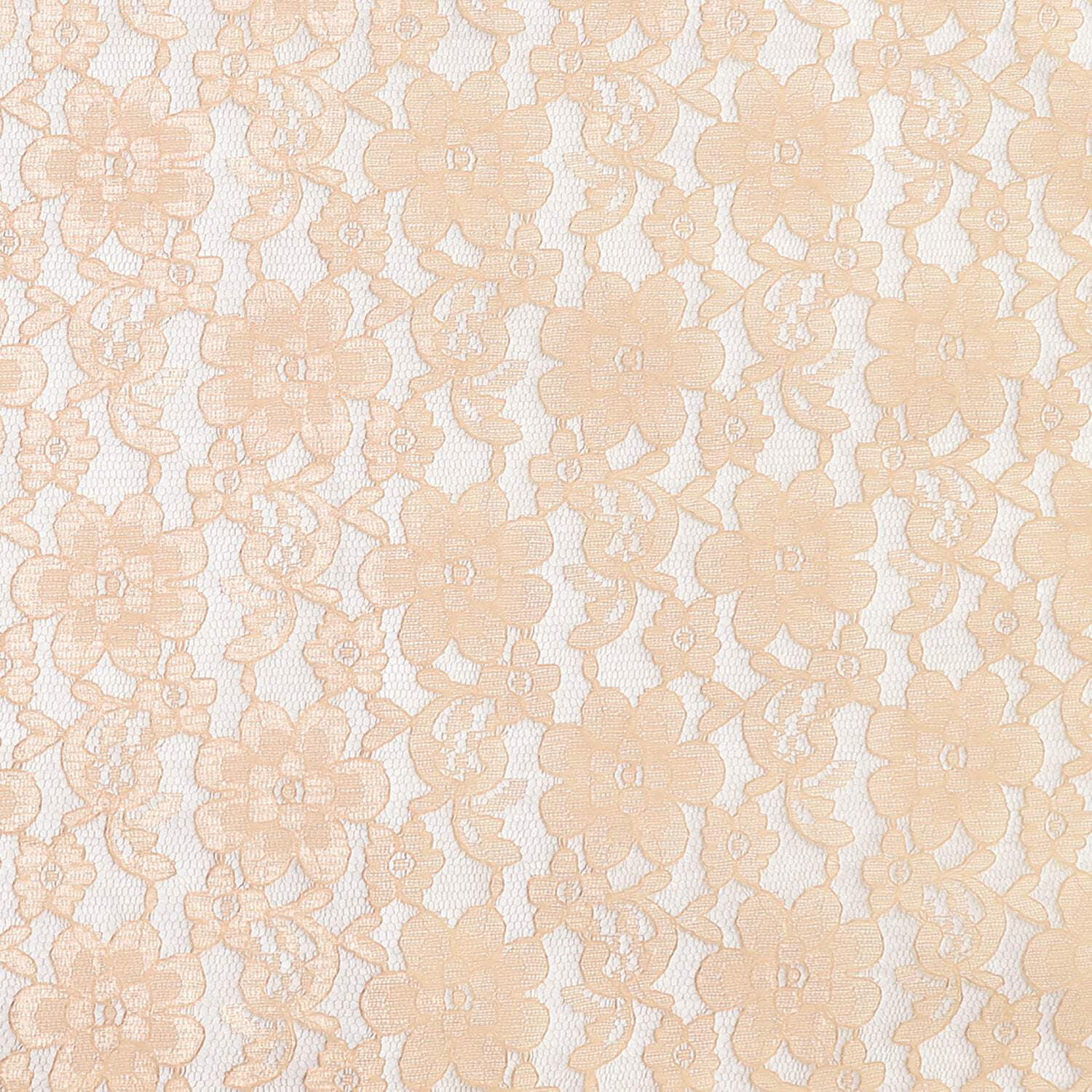 Sheer Floral "Rachel" Lace Fabric 58" Wide by 36"(1-Yard) for Arts, Crafts, & Sewing