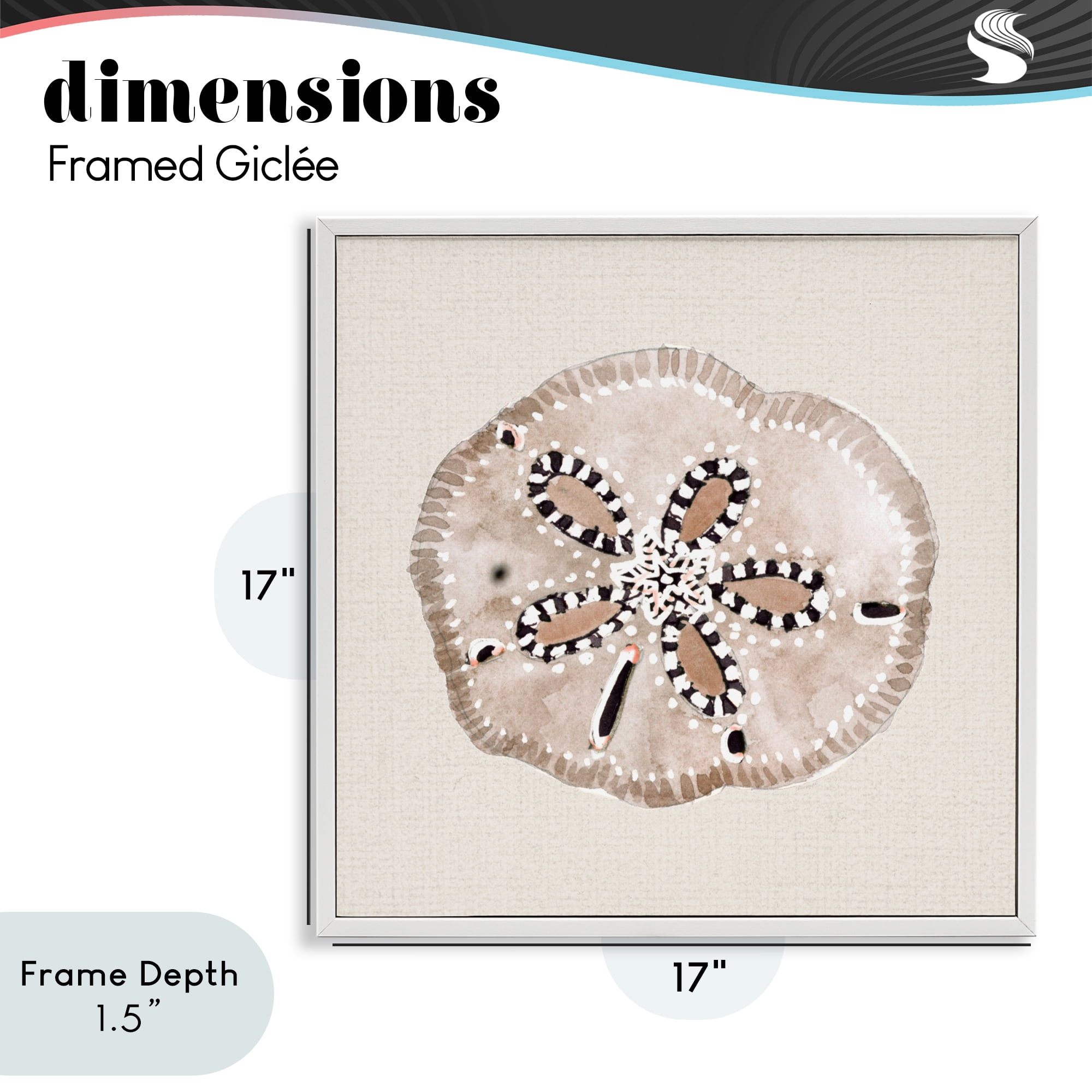 Stupell Industries Taupe & Beige Sand Dollar White Framed Giclee Art, design by Lanie Loreth