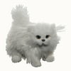 "AWSOM Pets! White Cat Fits 18"" Girl Doll Accessories"