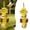 E, variant on Safe Natural Parrot Foraging & Shredding Toys, Non-Toxic Chewing Hanging Bird Toys for Budgies, Conures, Finches & Small Parrots