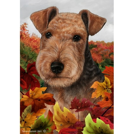 Lakeland Terrier - Best of Breed Fall Leaves Garden (Best Brush For Lakeland Terrier)
