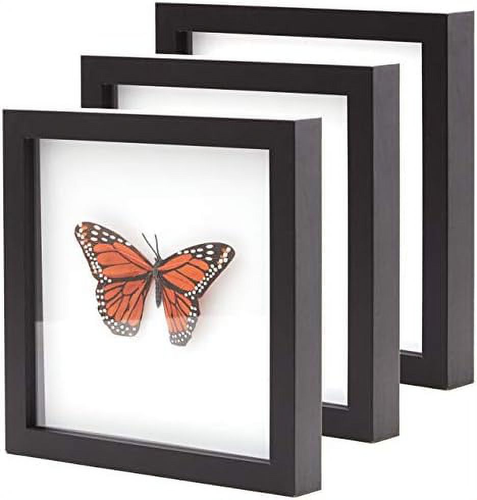 SuperSturdy, Real Wood 8X8 Box Frame 3Pk. Hardwood Display With Real