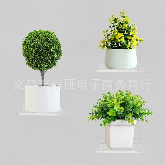 1 Set of Wall Bonsai Rack Clear Acrylic Window Shelf for Plants Wall Flower Pot Rack Adhesive Planter Rack