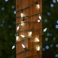 thumbnail image 2 of Novelty Lights 70 Light C6 LED Christmas Mini Light Set, Commercial Grade Outdoor String Lights, Pure White, Green Wire, 24 Feet, 2 of 7