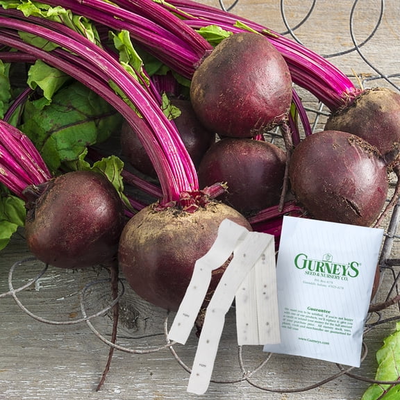 Perfected Detroit Beets - 2 seed tapes measuring 7.5 feet long each