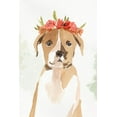 thumbnail image 2 of Isabelle Z 13x18 White Modern Wood Framed Museum Art Print Titled - Puppy II, 2 of 4