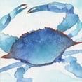 thumbnail image 3 of Tava Studios 20x20 Black Modern Framed Museum Art Print Titled - Galapagos Crab, 3 of 5