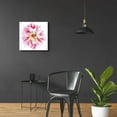 thumbnail image 4 of Epic Art 'Pink Dahlia' by Elise Catterall, Acrylic Glass Wall Art, 24"x24", 4 of 8
