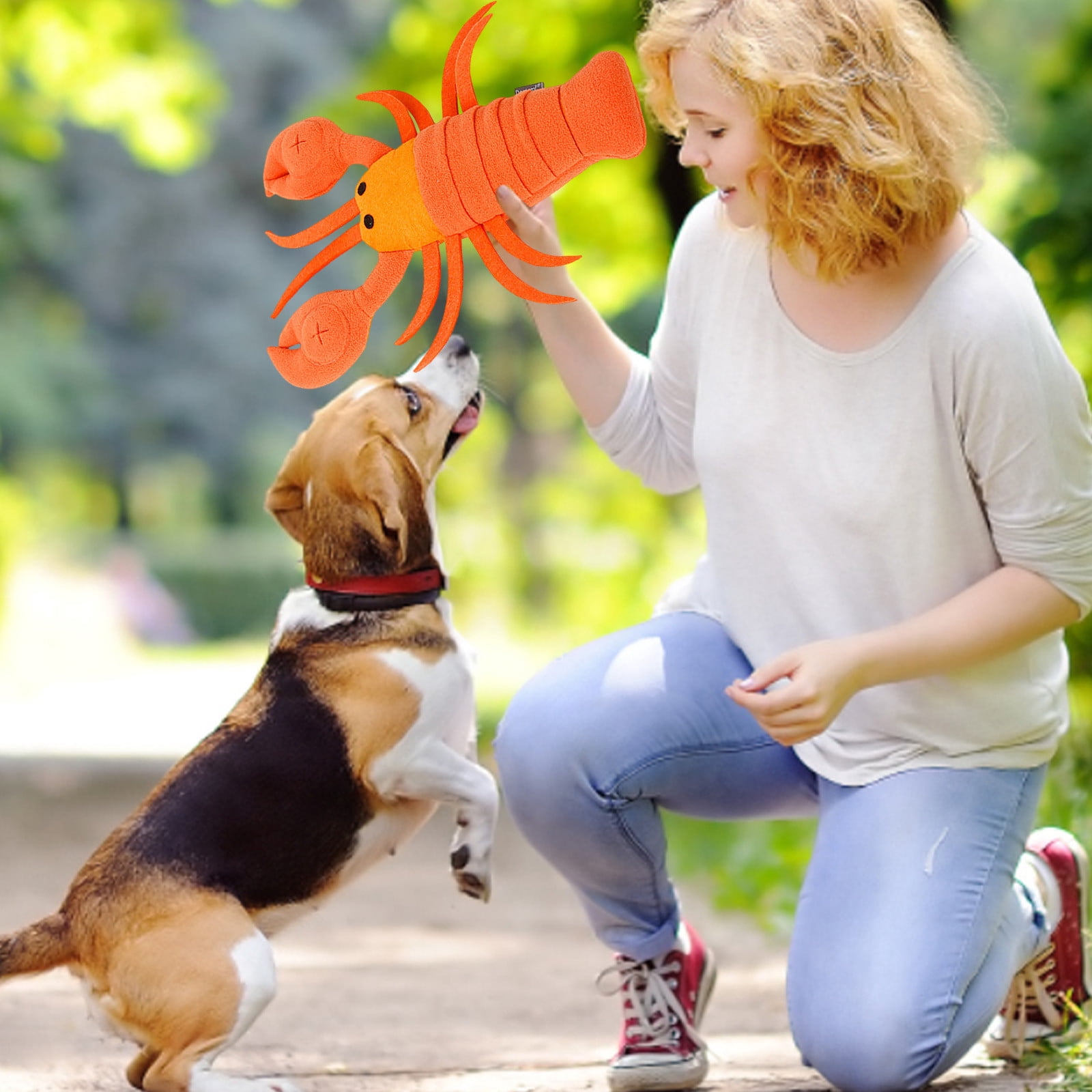 Pet Toys Molar Cartoon Lobster Sniff Feeding for Slow Eating Interactive Chew Training Toy for Dogs Inside Outside