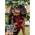 thumbnail image 3 of Ancol Viva Collar Red 26-31cm Size 2, 3 of 9
