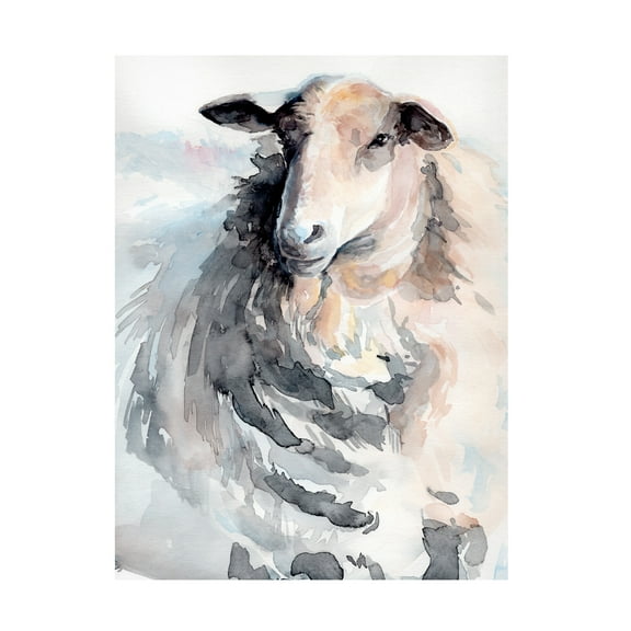 Jennifer Paxton Parker 'Watercolor Sheep II' Canvas Art