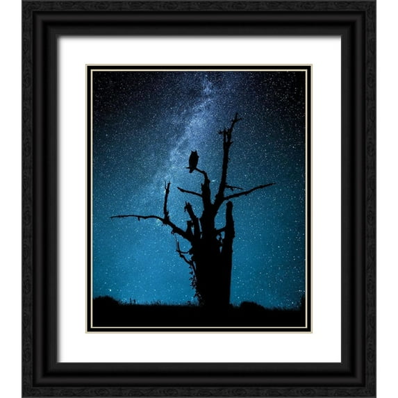 Allicot, Manu 15x17 Black Ornate Wood Framed with Double Matting Museum Art Print Titled - Alone in the dark