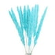thumbnail image 1 of Phagmites De Hierba De Pampas Secas Pequeñas Decoración De Fragmitas Pequeños De Pampas Pequeños De Hierba De Decoración De Flores Secas Para Bodas En El Hotel Yuarrent HA044444-08, 1 of 6