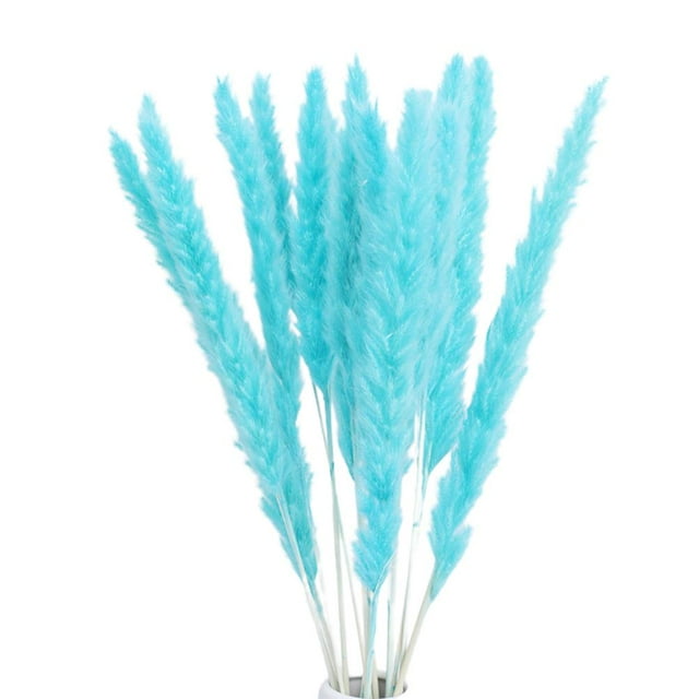 Phagmites De Hierba De Pampas Secas Pequeñas Decoración De Fragmitas Pequeños De Pampas Pequeños De Hierba De Decoración De Flores Secas Para Bodas En El Hotel Noticed HA044444-08