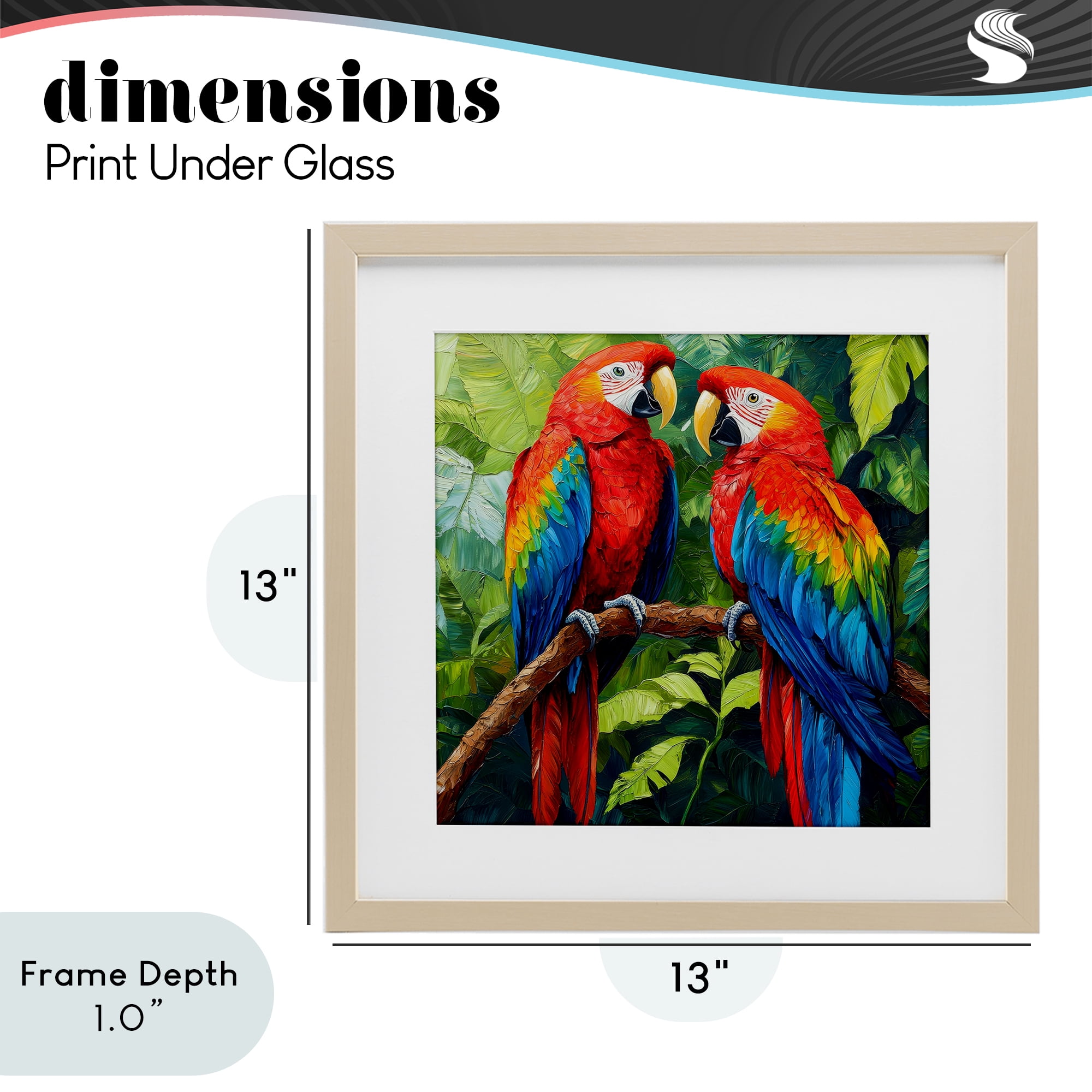 Stupell Industries Tropical Parrot Pair Birch Framed Print Under Glass, design by Petal Prints Design
