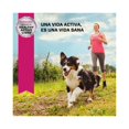 thumbnail image 3 of EUKANUBA PREMIUM PERFORMANCE EUKANUBA EUKANUBA 13.2 KG, 3 of 3