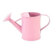 Dvkptbk Watering Can Gardening Supplies 600ml Watering Kettle Watering Pot Wrought Iron Planting Tool