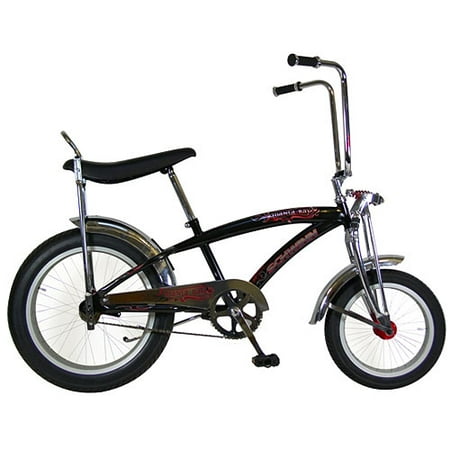 20" Schwinn Manta Ray Bike