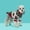 Deer, variant on SENHAWK Dog Knitted Sweater for Small Dogs, Soft Warm Breathable Pet Pullover with Round Neck, Cute Christmas Holiday Pattern, Stretchy 3D Tailoring Dog Clothes for Puppy Cat Fall Winter
