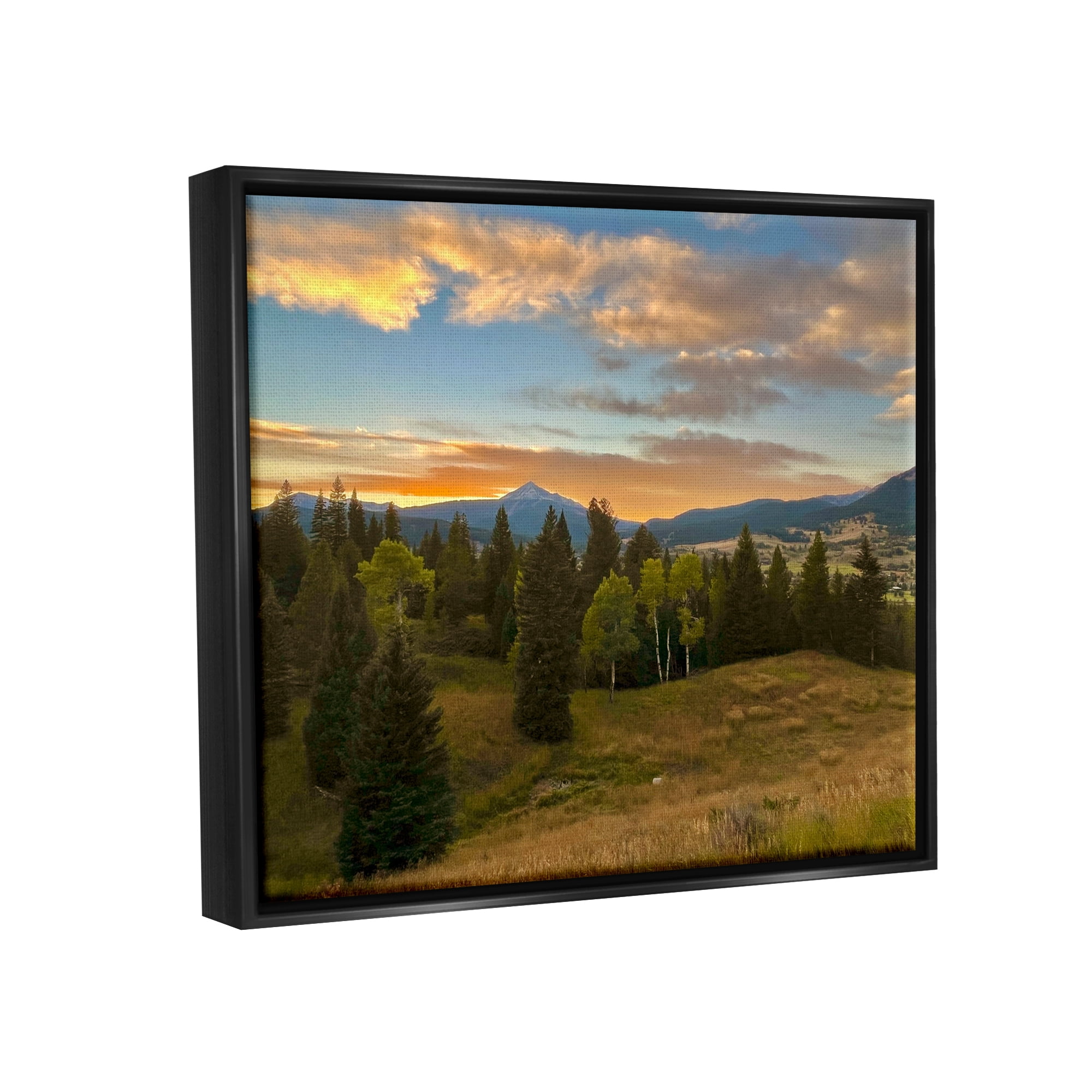 Stupell Montana Sunset Forest Clearing Landscape Photography Black Floater Framed Art Print Wall Art
