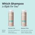 thumbnail image 6 of Paul Mitchell Shampoo Three, Clarifying Shampoo, Cleanses Impurities + Removes Chlorine, For All Hair Types, Great For Swimmers, 2.5 fl oz., 6 of 7