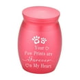 thumbnail image 2 of oshhni Pet Ash Urn Container Memorial Keepsake Urns for Small Animals s Kitten Pink, 2 of 9