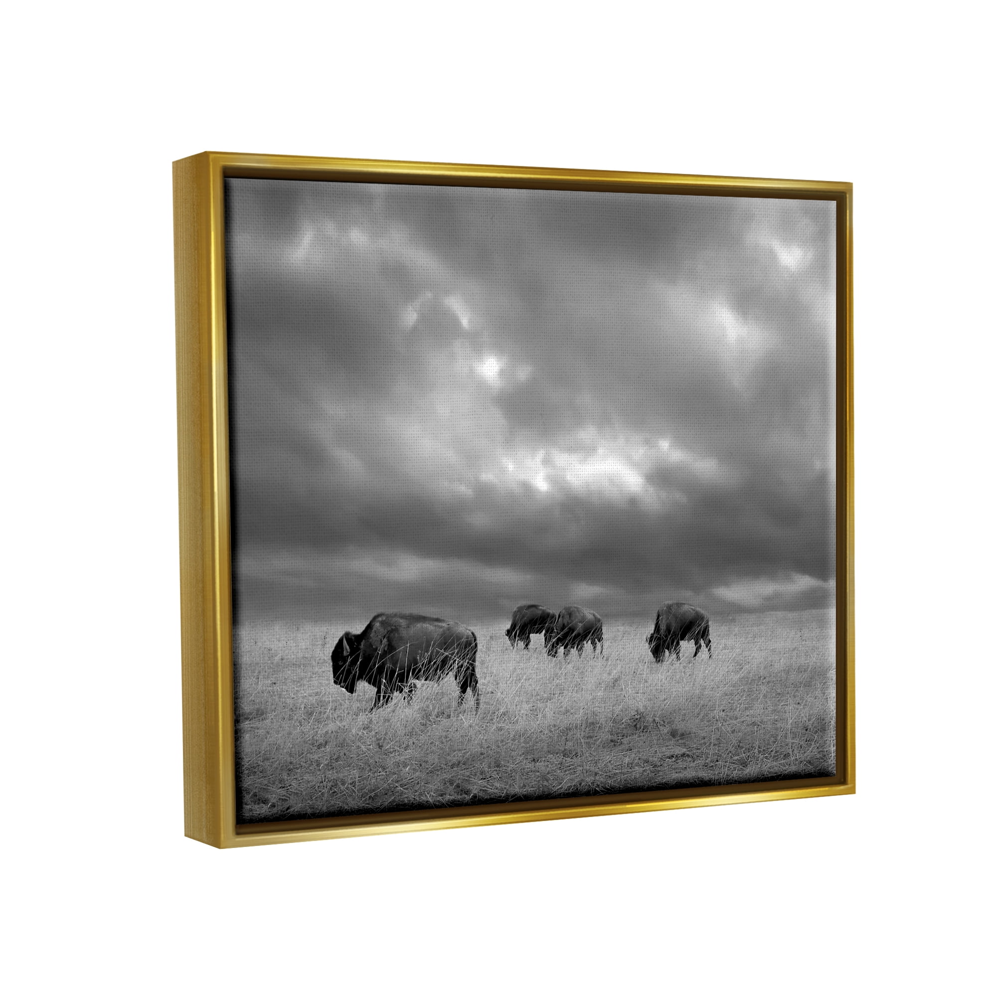 Stupell Industries Bison in Cloudy Field Landscape Photography Gold Floater Framed Canvas Art Print Wall Art, 31 x 25