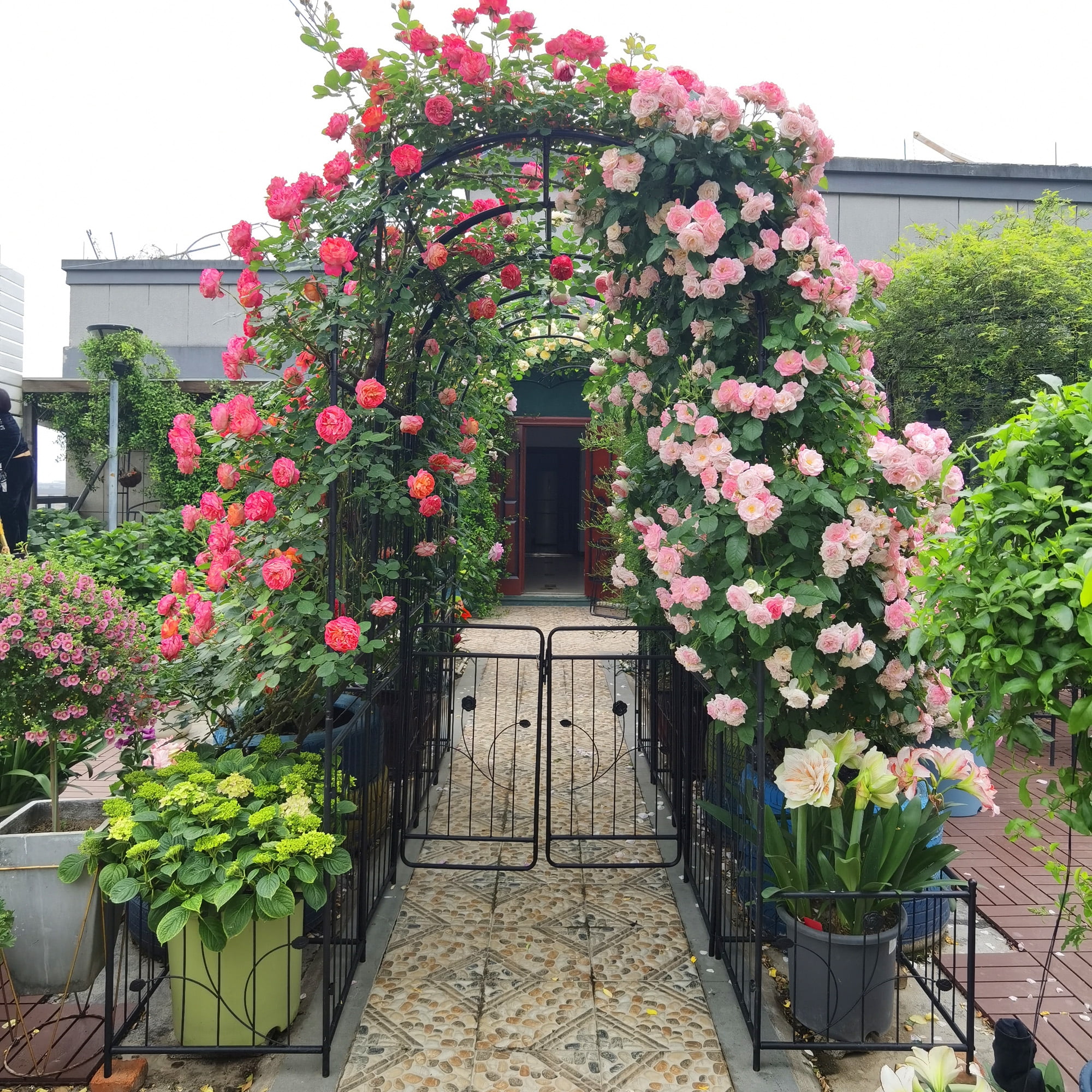Metal Garden Arch with Plant Stands 79.5" Wide x 86.6" High Climbing Plants Support Rose Arch Outdoor Black