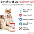 thumbnail image 4 of Brilliant Salmon Oil for Dogs and Cats, All-Natural Norwegian Fish Oil Omega 3 Supplements for Pets, 16.9 fl oz, 4 of 8