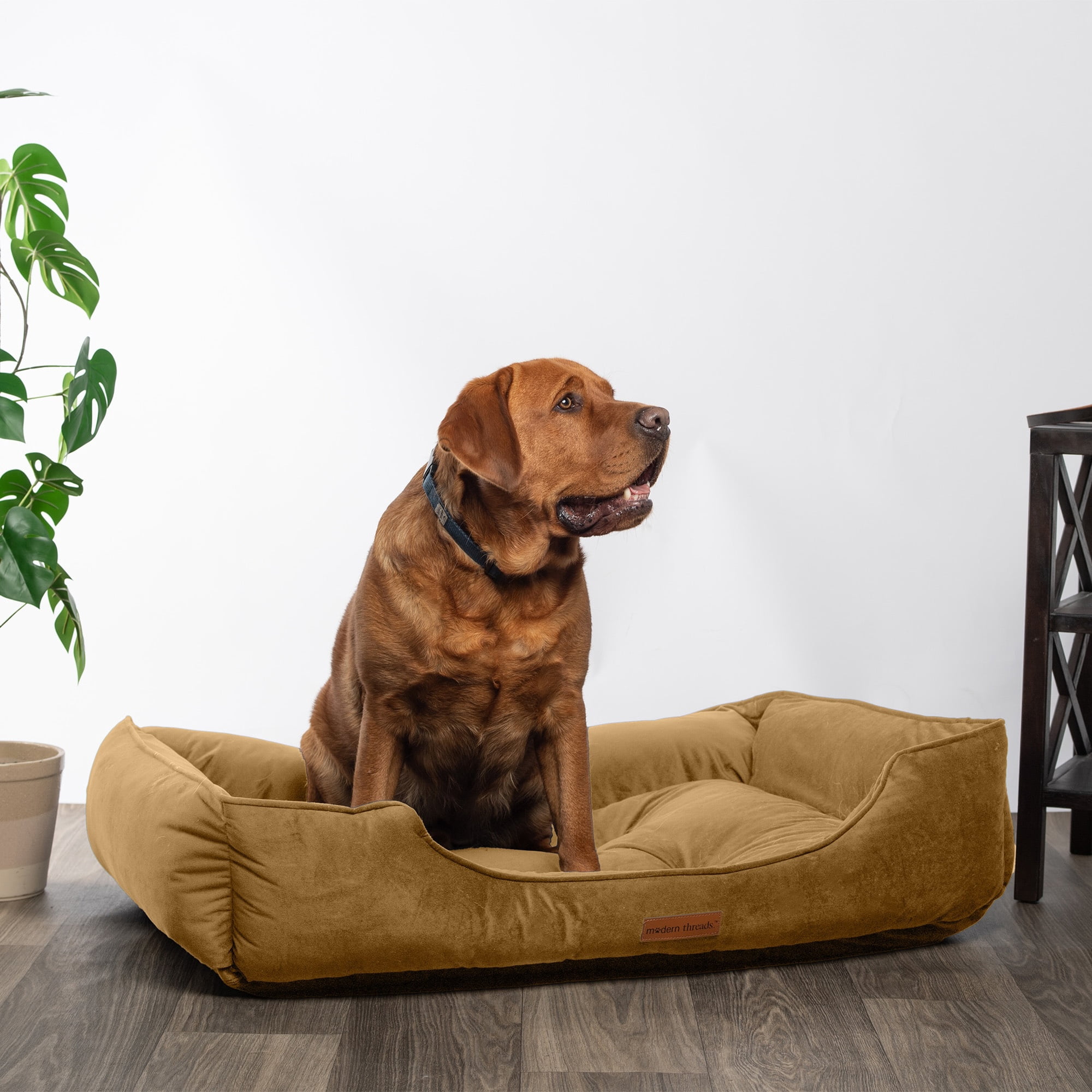 Modern Threads Extra Large Luxury Velvet Tufted-Style Dog Bed, Caramel
