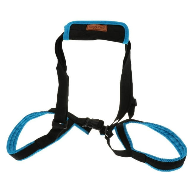 tredstone Dog Leg Auxiliary Belt Lift Harness Adjustable Support Aid for Increased Mobility and Flexibility Blue S 1Set