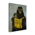thumbnail image 4 of Trademark Fine Art 'Ravens Read' Canvas Art by Leah Saulnier, 4 of 4