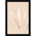 thumbnail image 2 of 1x Studio III 11x14 Black Modern Wood Framed Wall Art Titled - Pampas Grass Beige 06, 2 of 6