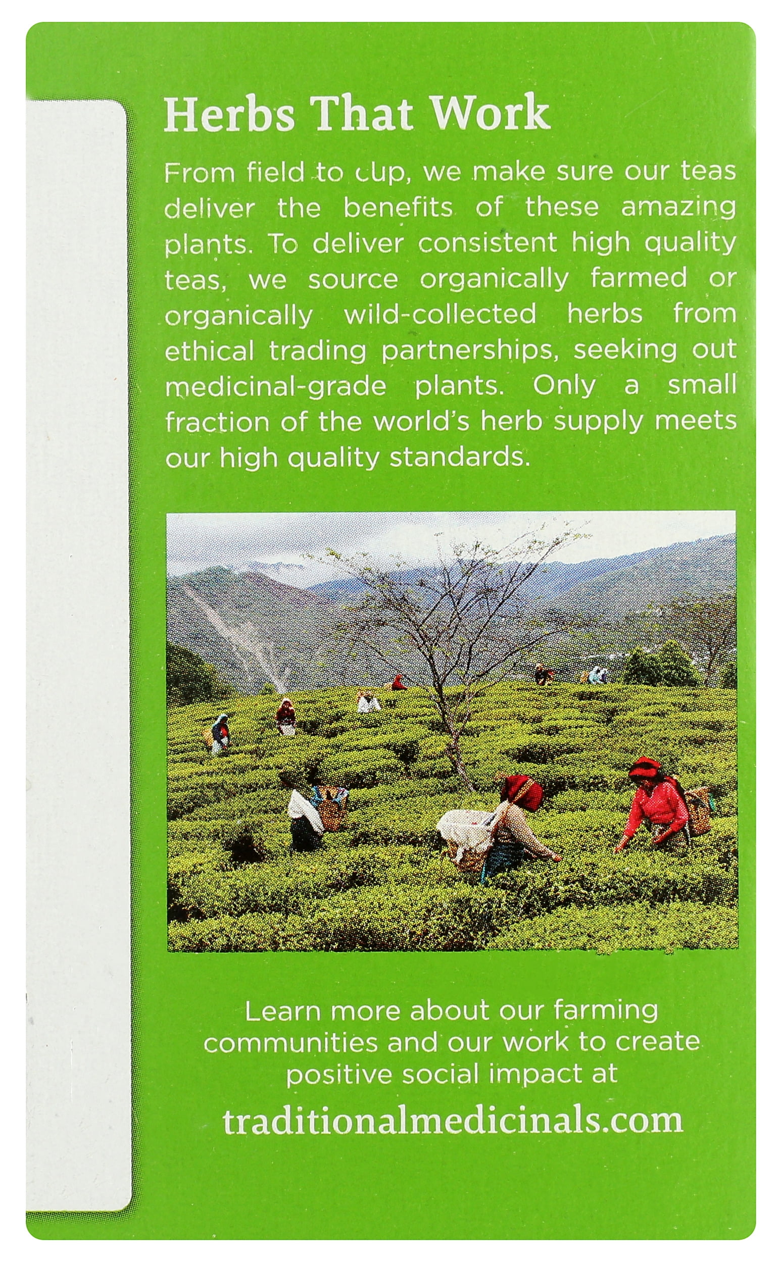 Pack of 6, Traditional Medicinals Green Tea Lemongrass, 16 bg - 0.85 oz