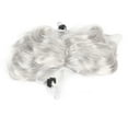 thumbnail image 1 of Peluca de cosplay para perros ANGGREK de Fibra de nailon ajustable para Halloween, 1 of 8