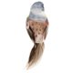 thumbnail image 5 of Decoración de pájaro artificial hecha de espuma y plumas artificiales, decorativa. Garra de pájaros, 5 of 9