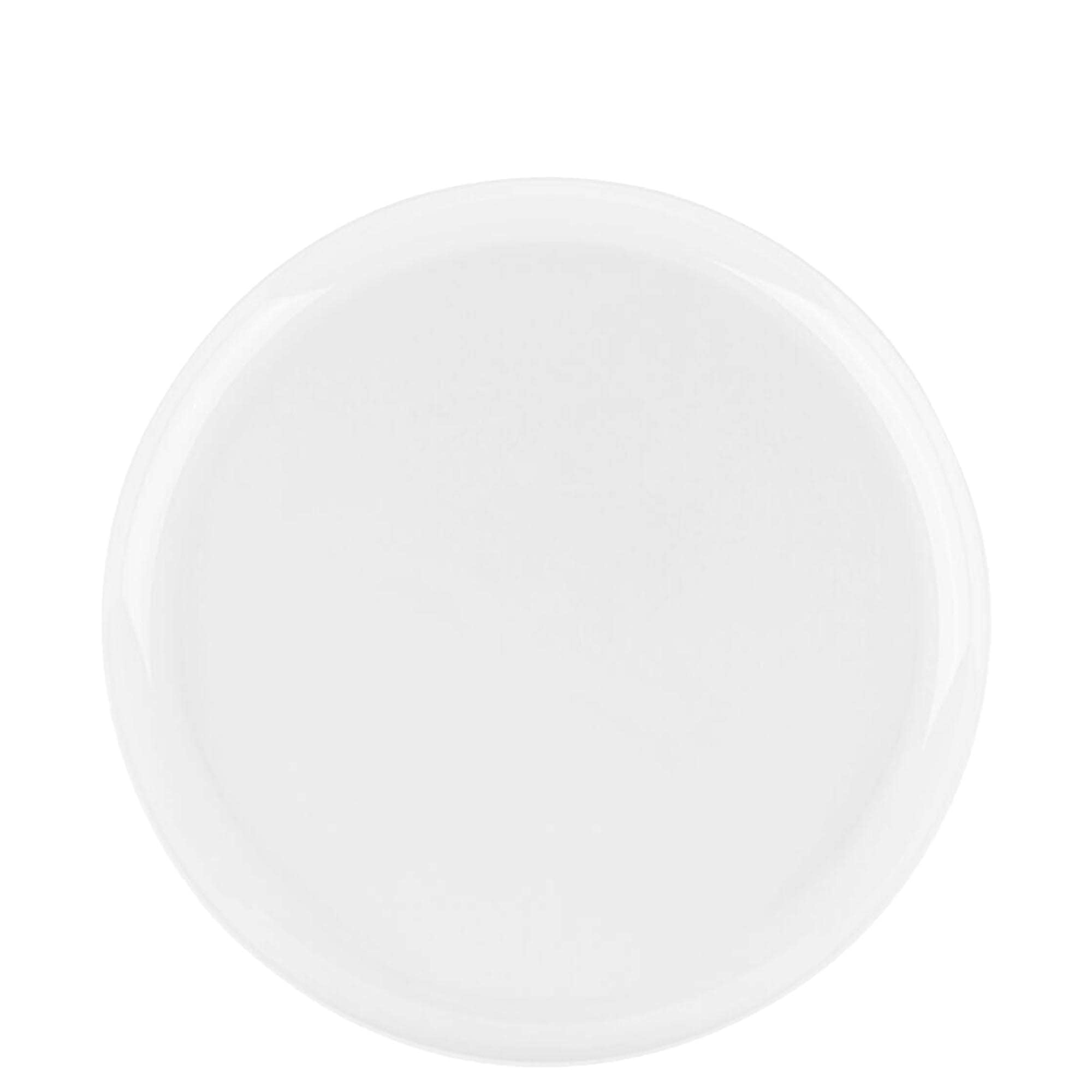 (10 PACK) EcoQuality 8.6" inch White Round Plastic Plates Disposable China Like Party Plates