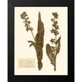 thumbnail image 2 of Vision Studio 12x14 Black Modern Framed Museum Art Print Titled - Pressed Flower Study IV, 2 of 5
