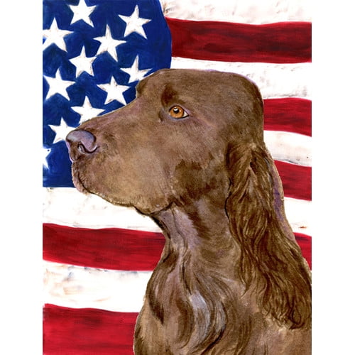 Caroline's Treasures American 2-Sided Polyester 15 x 11 in. Garden Flag