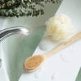 thumbnail image 4 of Cepillo de Baño ECOTOOLS Cerdas Sintéticas Suaves con Mango Ergonómico para Exfoliación Delicada Ecotools NA, 4 of 6
