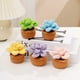 thumbnail image 4 of 5 Piezas Plantas en Macetas Kit Crochet Inicio Bricolaje para Adultos (suculento), 4 of 9