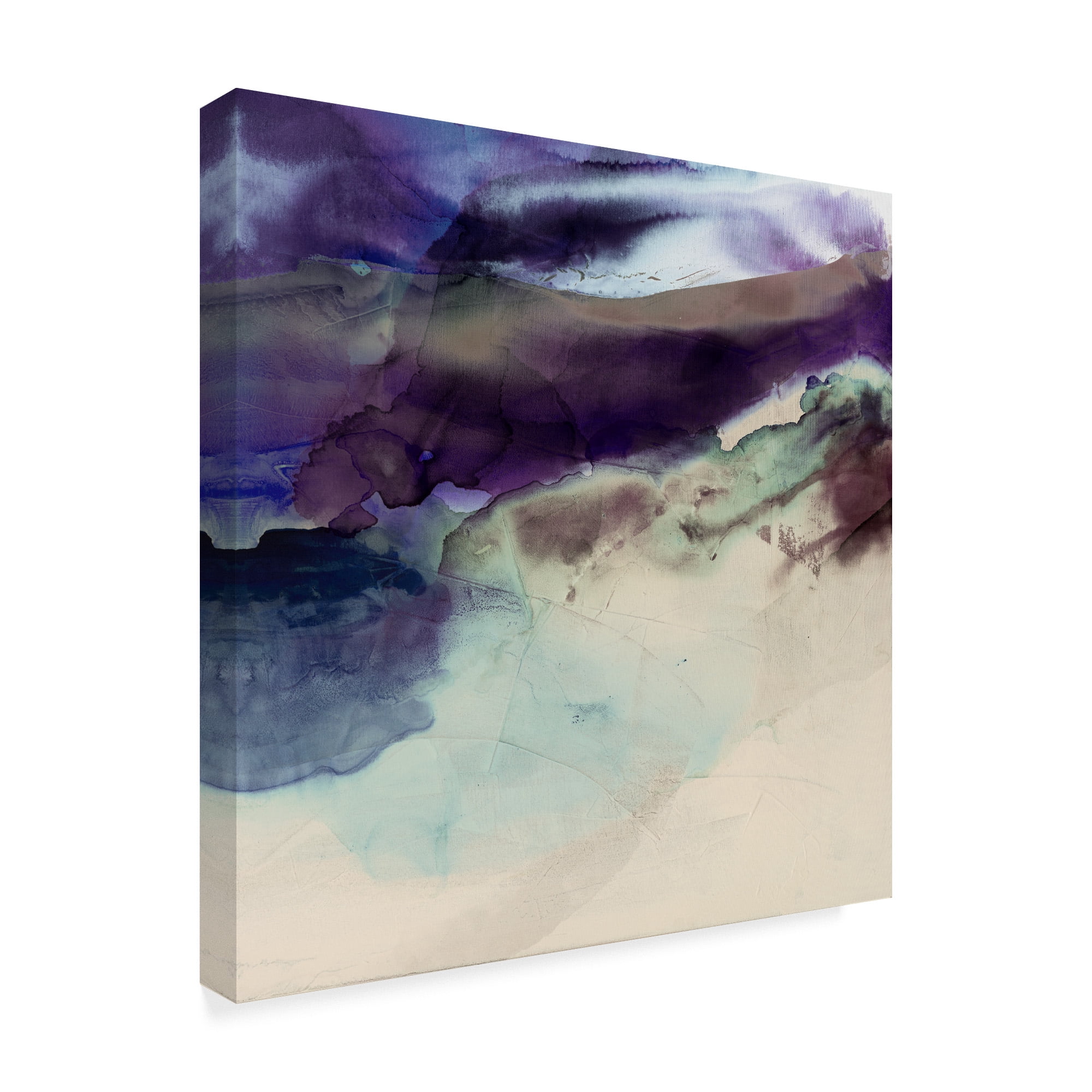 Trademark Fine Art 'Purple Wunderlust II' Canvas Art by Sisa Jasper