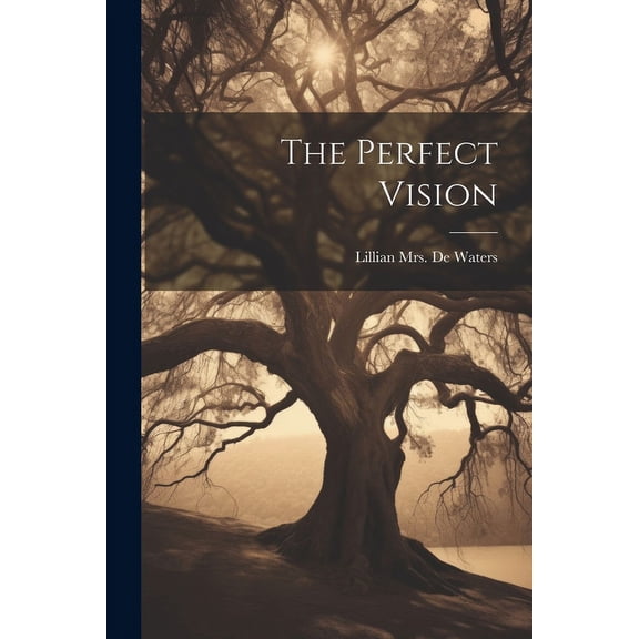 The Perfect Vision, (Paperback)