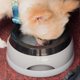 thumbnail image 3 of 2025 750ml Portable Splash-proof Dog Floating Bowl Water Dispenser Drinking Feeder, 3 of 5