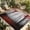 Red, variant on Purple Forest Outdoor Rug for Patio/Deck/Porch, Non-Slip Large Area Rug 5 x 7 Ft, Vintage Foggy Woods Tree Mysterious Indoor Outdoor Rugs Washable Area Rugs, Reversible Camping Rug Carpet Runner