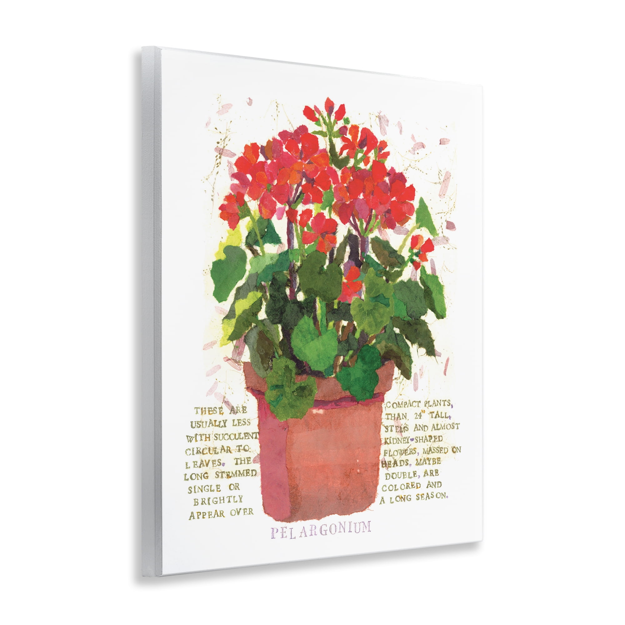 Stupell Industries Red Potted Geranium Botanical & Floral Painting Unframed Art Print Wall Art, 11 x 14