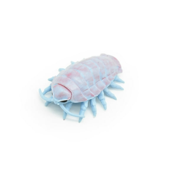 Giant Isopod, Very Nice Plastic Design, Hand Painted, Realistic Figure, Educational, Lifelike, Toy Model, Figurine, Replica, Gift, 3" F3676 B10