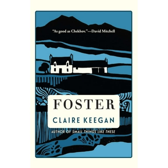 Pre-Owned Foster (Hardcover 9780802160140) by Claire Keegan