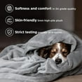 thumbnail image 4 of GentleSoft Fleece Bed Blankets Queen Size Grey - Soft Lightweight Plush Fuzzy Cozy Luxury Fall Blanket Microfiber, Room Home Decor Gifts for Women and Men, 90x90 inches, 4 of 7